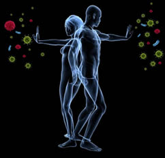 Romance and Your Immune System